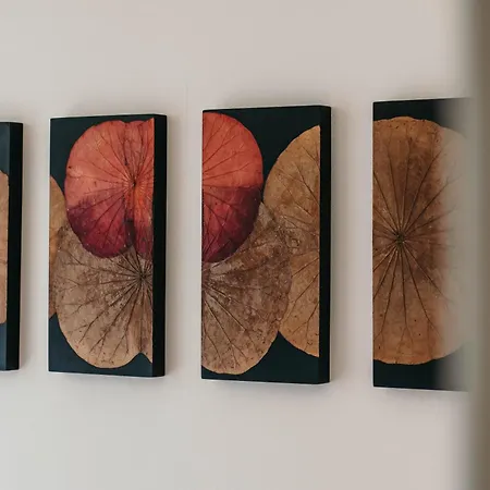 Bella Vista Con Piscina - Lakeside Leisure & Business Dormelletto