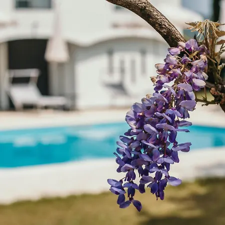 Bella Vista Con Piscina - Lakeside Leisure & Business *