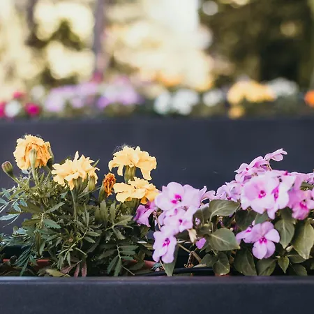 Apartment Bella Vista Con Piscina - Lakeside Leisure & Business *