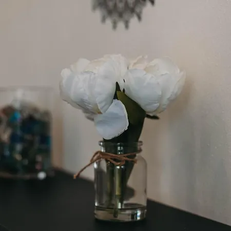 Apartment Bella Vista Con Piscina - Lakeside Leisure & Business