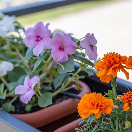 Bella Vista Con Piscina - Lakeside Leisure & Business Apartment *