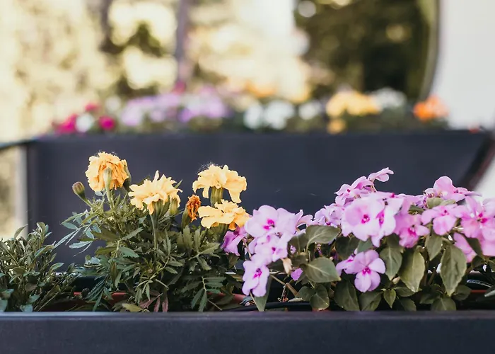 アパート Bella Vista Con Piscina - Lakeside Leisure & Business *