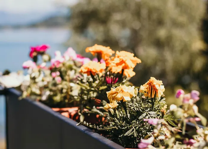 Bella Vista Con Piscina - Lakeside Leisure & Business アパート *