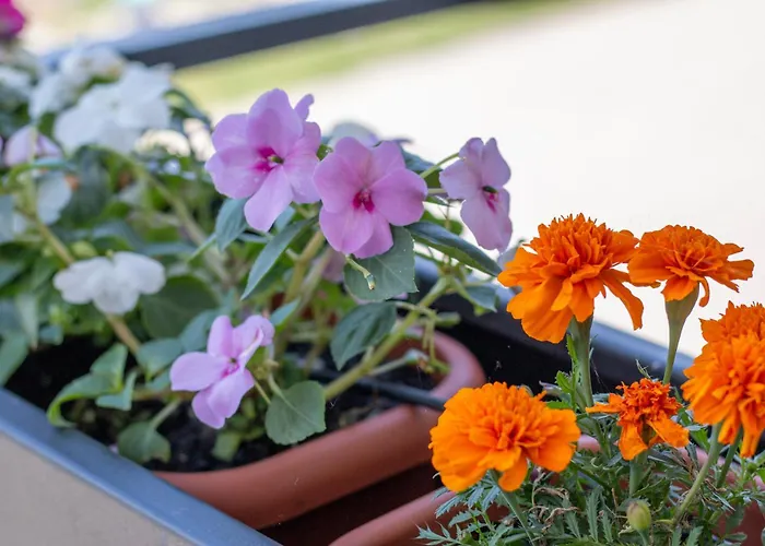 Bella Vista Con Piscina - Lakeside Leisure & Business アパート *